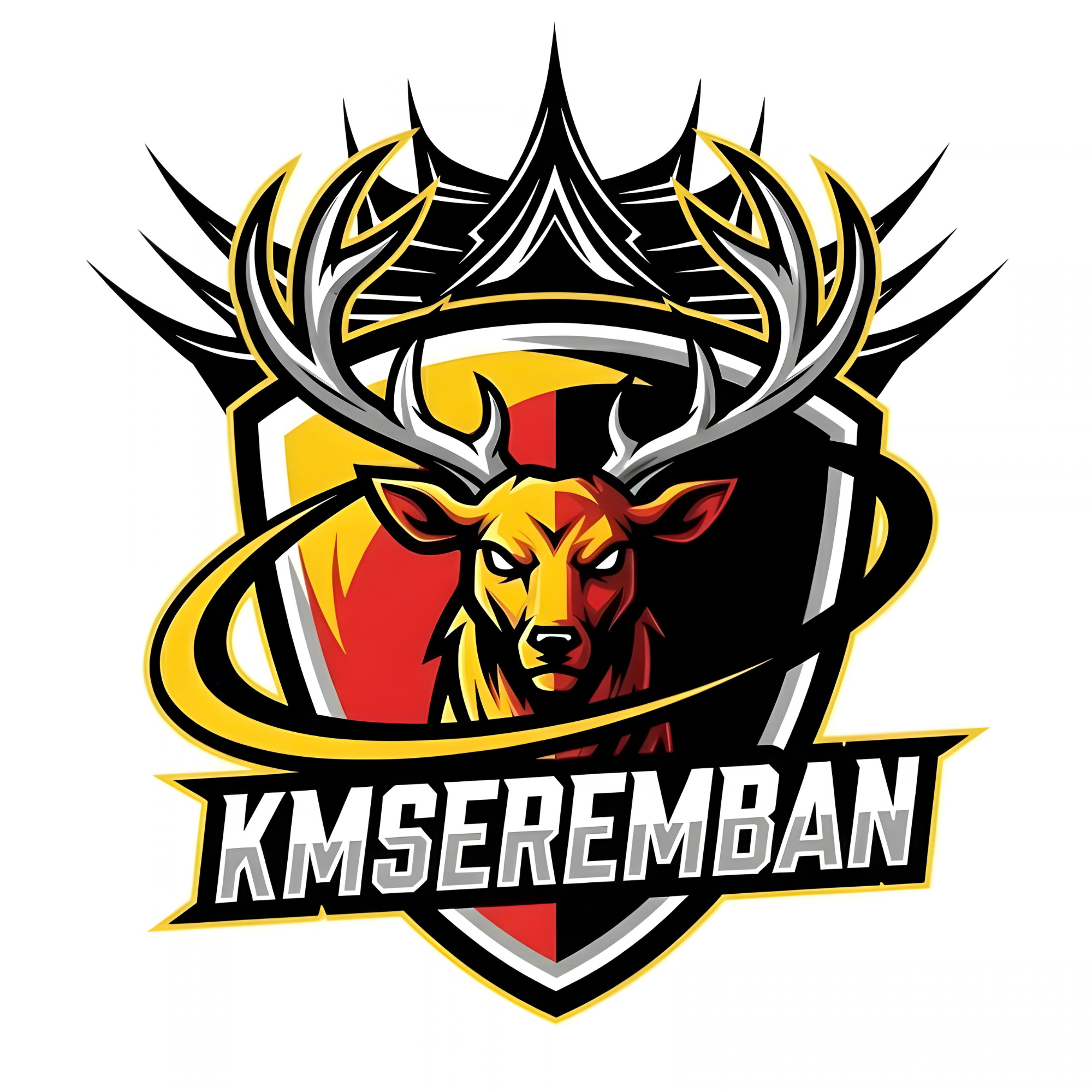 Logo KMS